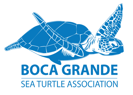 Boca Grande Sea Turtle Association
